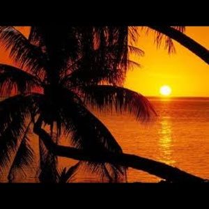 Meet your Posher, Karla